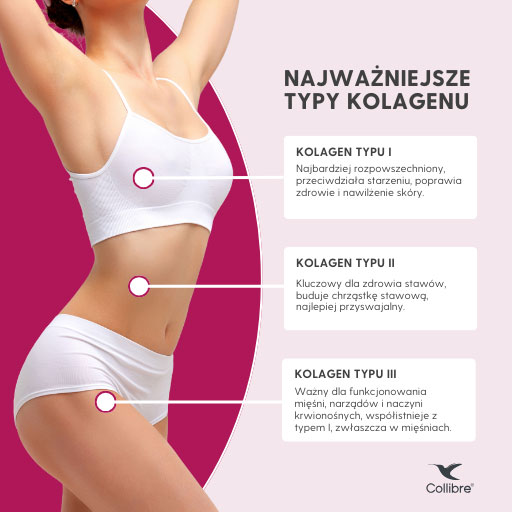 typy kolagenu mobile