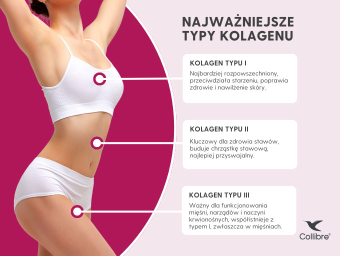 typy kolagenu desktop
