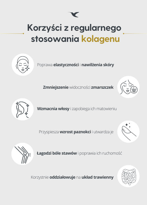infografika Mobile